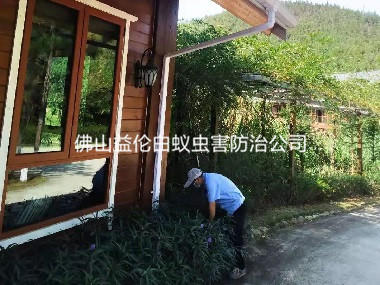 西南農(nóng)莊滅治老鼠蟲害