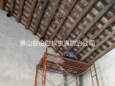 白坭鎮(zhèn)陳氏大宗祠滅治白蟻