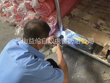 三水倉庫白蟻防治