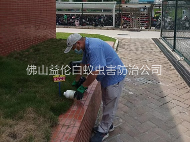 云東海校區(qū)滅紅火蟻