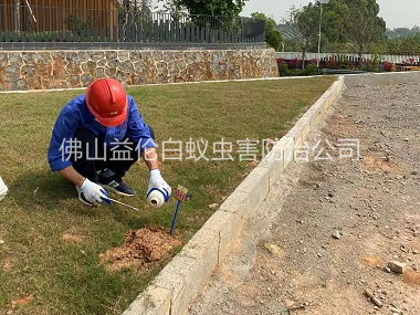 南邊紅火蟻防治案例