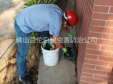 白坭鎮(zhèn)企業(yè)外圍滅鼠