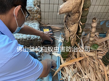 西南鎮(zhèn)白蟻危害防治工程