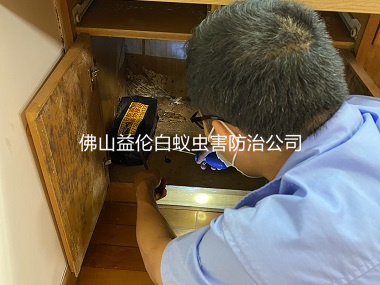 黃岐幸?；▓@小區(qū)白蟻防治