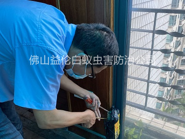 南邊鎮(zhèn)小區(qū)白蟻防治