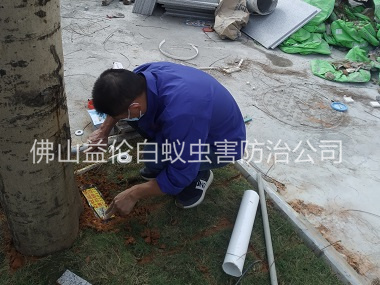 范湖施工裝置白蟻誘殺箱