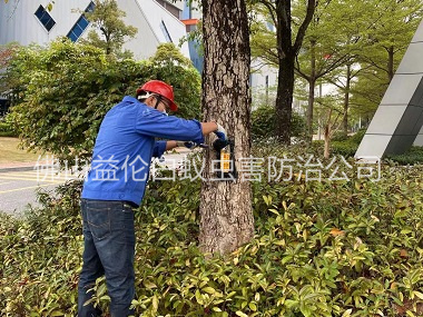 西南企業(yè)白蟻消殺工程