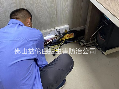 白坭鎮(zhèn)房屋治白蟻工程