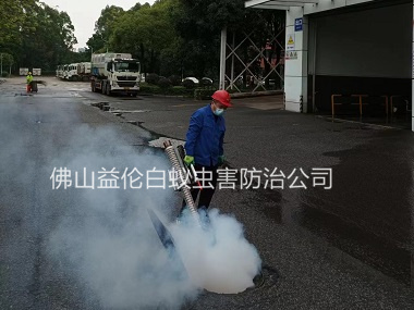 金本街道殺蟑螂蚊蠅