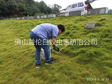 佛山堤壩有害蟻類防控