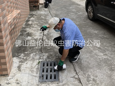 六和蚊蠅孳生地消殺