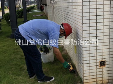 大塘鎮(zhèn)廠區(qū)滅鼠工程