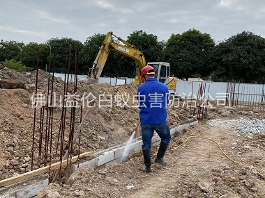 西南地基新建預(yù)防白蟻