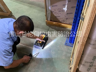 樂(lè)平工廠車間治白蟻