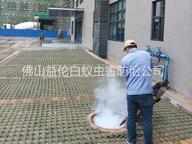 大塘廠區(qū)環(huán)境消殺處理