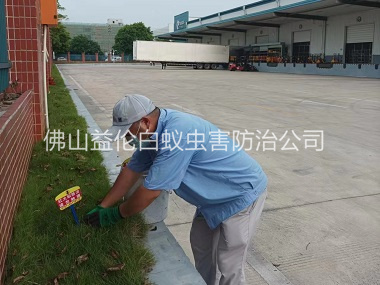 蘆苞企業(yè)殺除紅火蟻