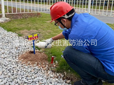 西南園區(qū)治紅火蟻