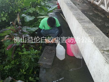 樂平蟲控公司進(jìn)行捕蛇