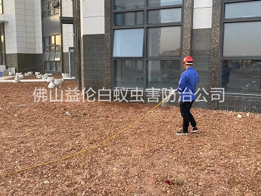 云東海房屋白蟻預(yù)防