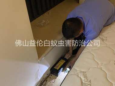 三水滅治家居白蟻