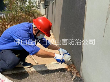 云東海紅火蟻防治工程