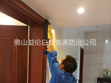 金本房屋滅治白蟻工程