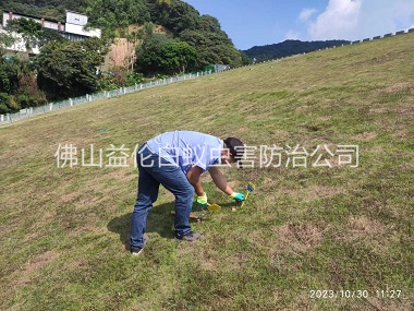 河口水利白蟻防治工程