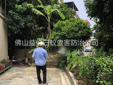 逕口社區(qū)除四害工程