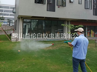 大塘消殺蚊蟲害工程