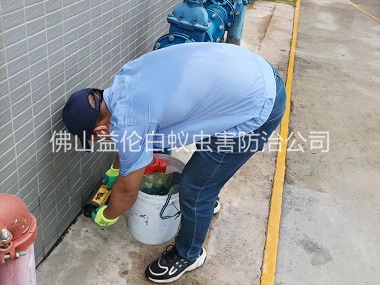 白坭廠區(qū)施藥滅鼠工程