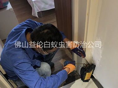 蘆苞住宅白蟻防治工程