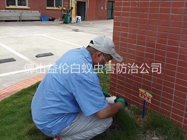 西南殺滅紅火蟻工程