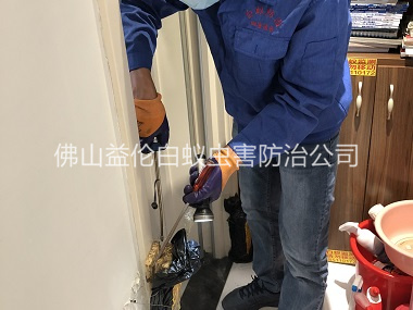 樂(lè)平上門(mén)防治白蟻工程