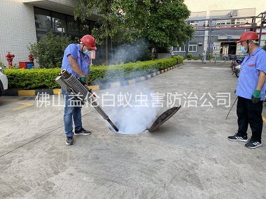 范湖下水道消殺工程