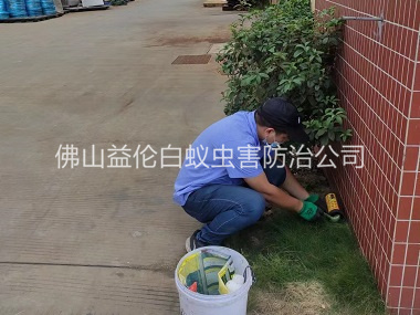 云東海布放滅鼠屋工程