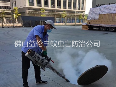 金本除蟲滅鼠工程