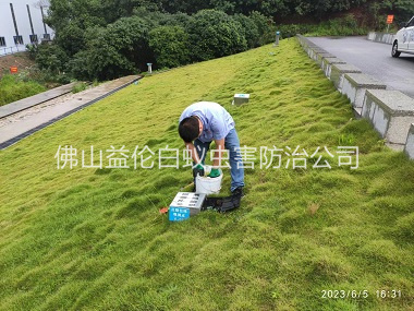 河口水利堤壩鼠害防控工程