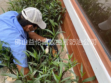 白坭園林綠化滅治白蟻工程