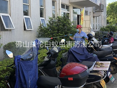 范湖廠區(qū)殺蟲滅蚊工程