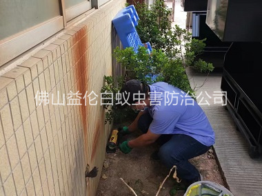 南邊投放滅鼠裝置工程