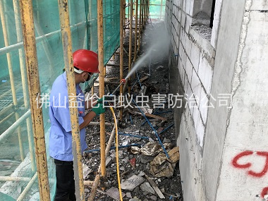 六和建筑白蟻預(yù)防工程