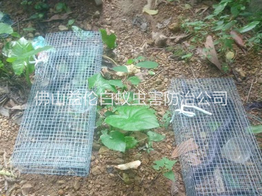 南山驅(qū)蛇防蛇工程