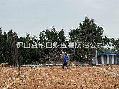 蘆苞新建地基預(yù)防白蟻工程