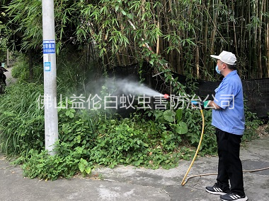 白坭有害生物消殺工程