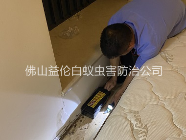 西南家居白蟻滅治工程