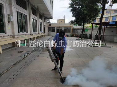 河口下水道滅蚊蟲(chóng)工程