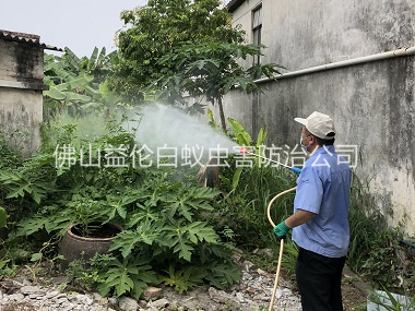 樂平社區(qū)消滅蚊子工程